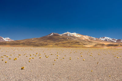 Scenic view of snowcapped mountains against clear blue sky