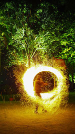 Illuminated trees on field at night