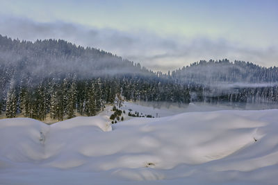 Snow covered trees against sky