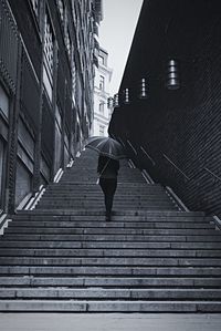 Low angle view of stairs