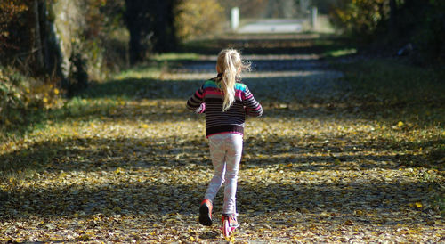 Rear view of girl walking on footpath at park