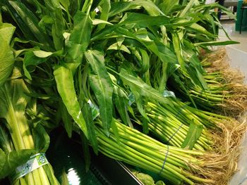 High angle view of vegetables