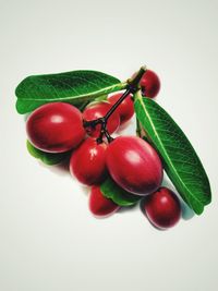 Close-up of red berry fruit on white background