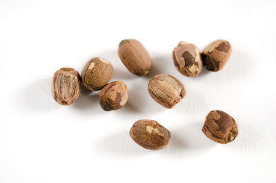 High angle view of cookies against white background