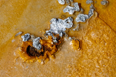 Close-up of water drops on metal