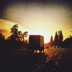 View of trees at sunset