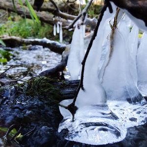 Close-up of frozen water