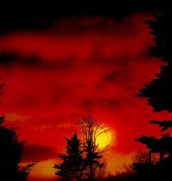 Low angle view of silhouette trees against dramatic sky