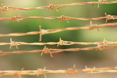 Close-up of barbed wire fence