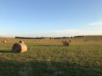 Hay bales on field against sky