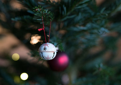 Close-up of christmas decorations hanging on tree