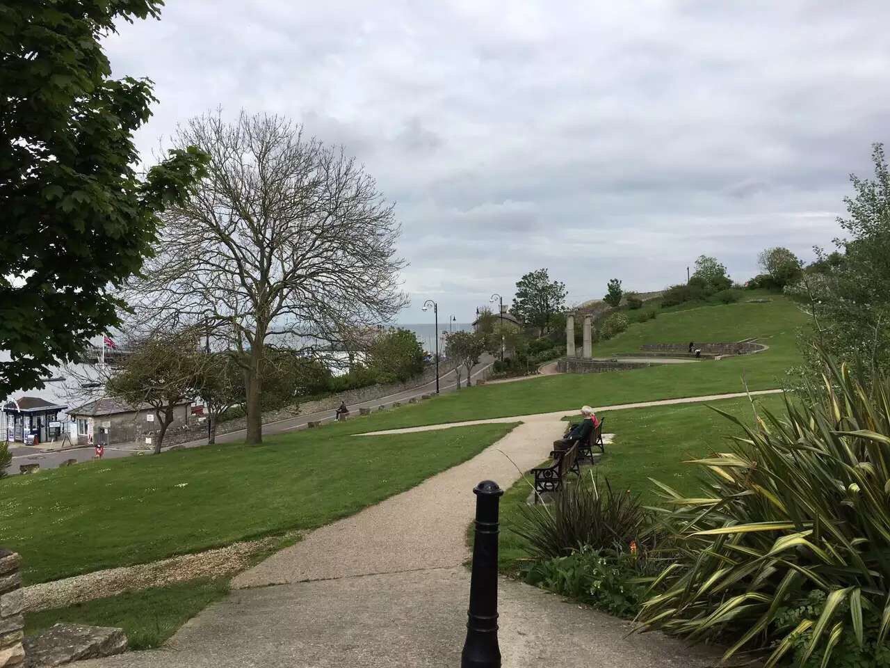 tree, grass, sky, cloud - sky, the way forward, cloudy, field, tranquility, road, green color, cloud, diminishing perspective, growth, nature, grassy, tranquil scene, landscape, transportation, vanishing point, park - man made space