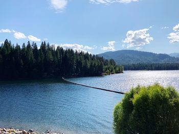 Scenic view of lake by trees against sky