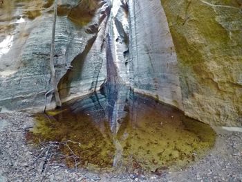 Close-up of rock by water