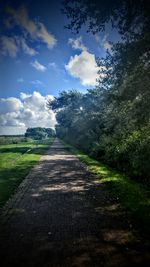 Dirt road passing through field