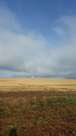 Scenic view of field against sky