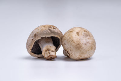 Close-up of chocolate over white background