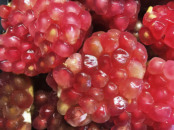 Full frame shot of red berries