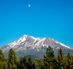 Scenic view of mt shasta against clear blue sky