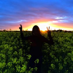 Silhouette of person standing on field at sunset