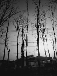 Low angle view of bare trees and building against sky