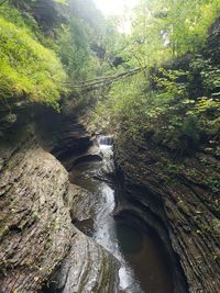 Stream flowing through rocks in forest