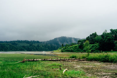 Scenic view of grassy field against sky