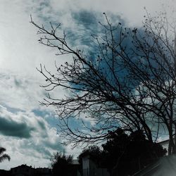 Low angle view of bare tree against cloudy sky