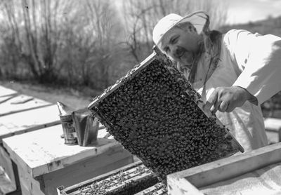 Low angle view of bees on built structure