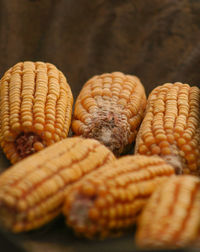 Close-up of corns on table