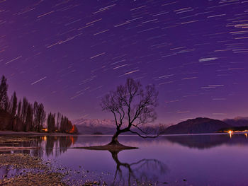 Bare tree in lake against sky with star trail at dusk