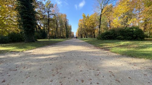 Road amidst trees against sky during autumn