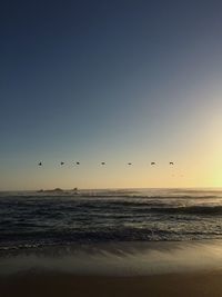 Silhouette birds flying over sea against clear sky