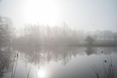 Reflection of trees in lake against sky