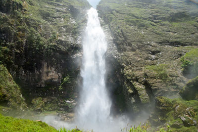 Scenic view of waterfall in forest