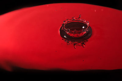 Close-up of water drop on red surface