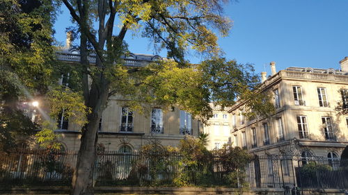 Trees and plants growing outside building