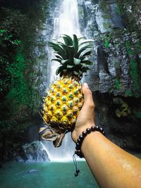 Midsection of person holding plants in water