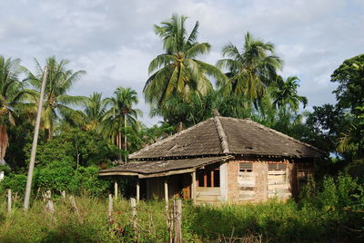 House by palm trees against sky