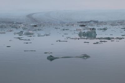 Aerial view of frozen sea against sky