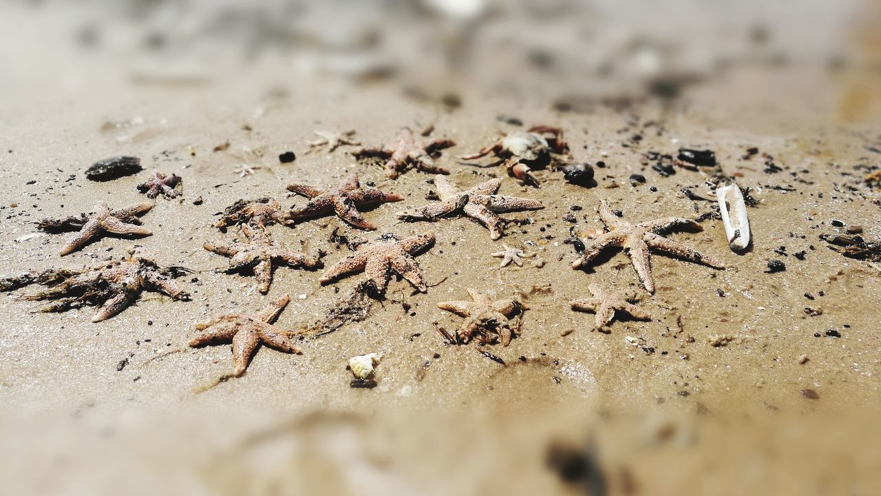 CLOSE-UP OF TEXT ON SAND AT BEACH