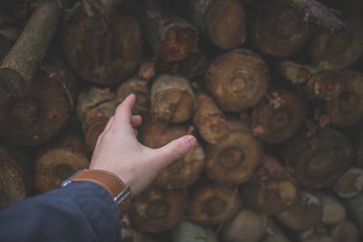 Close-up of man hand against logs