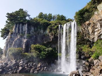 Low angle view of waterfall in forest