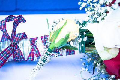 Close-up of multi colored flowers
