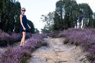 Full length of woman standing amidst lavender flowers on field