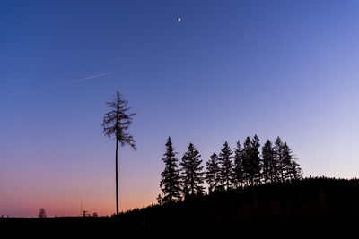 Silhouette trees against clear sky during sunset