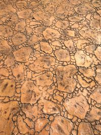 Full frame shot of tiles at poolside