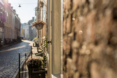 Close-up of potted plants on street against building