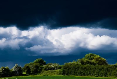 Low angle view of trees against sky