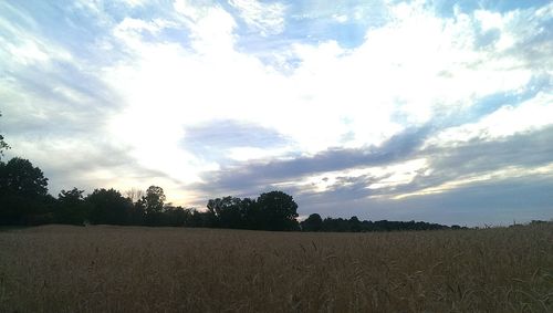 Scenic view of landscape against cloudy sky